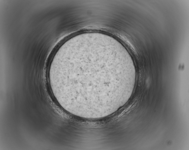 X0000096440976200802211206