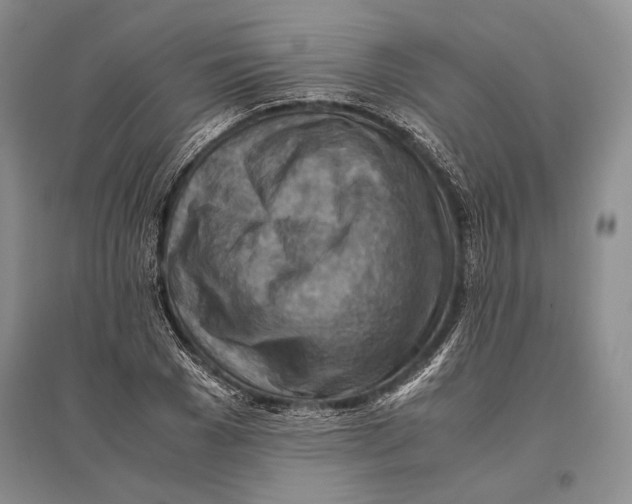 X0000096440977200802211206