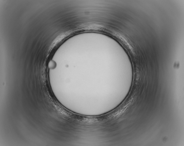 X0000096440978200802211206