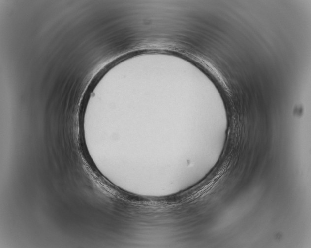 X0000096440980200802211206