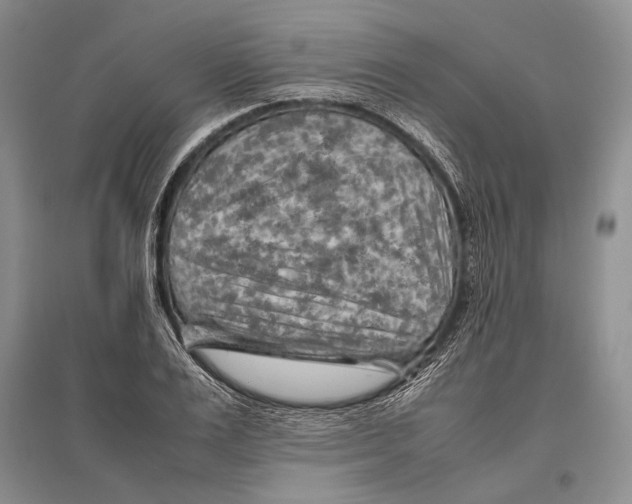 X0000096440983200802211206