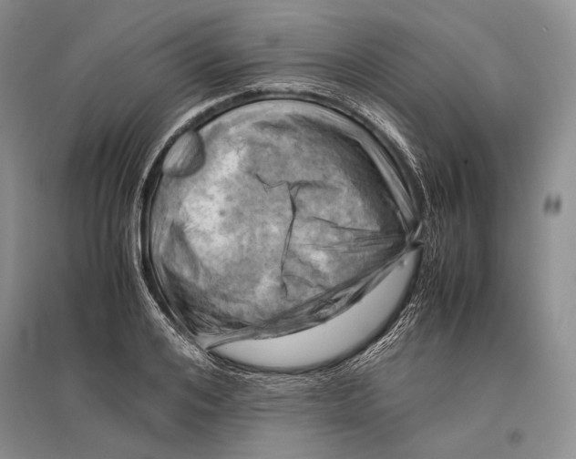 X0000096440984200802211206