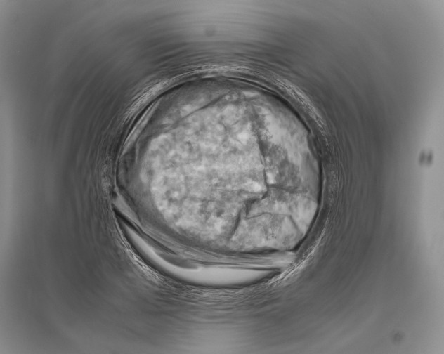 X0000096440985200802211206