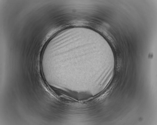 X0000096440986200802211206