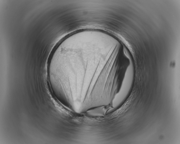 X0000096440988200802211206