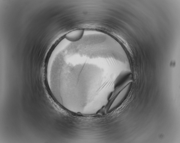 X0000096440992200802211206