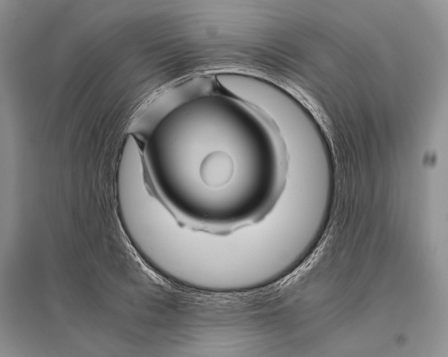 X0000096440993200802211206