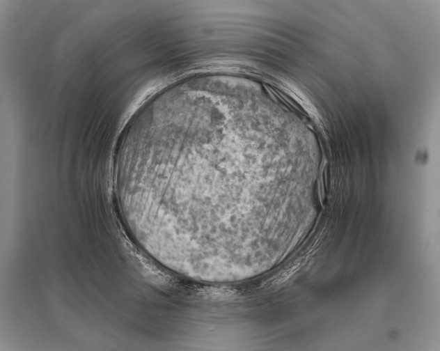 X0000096440994200802211206