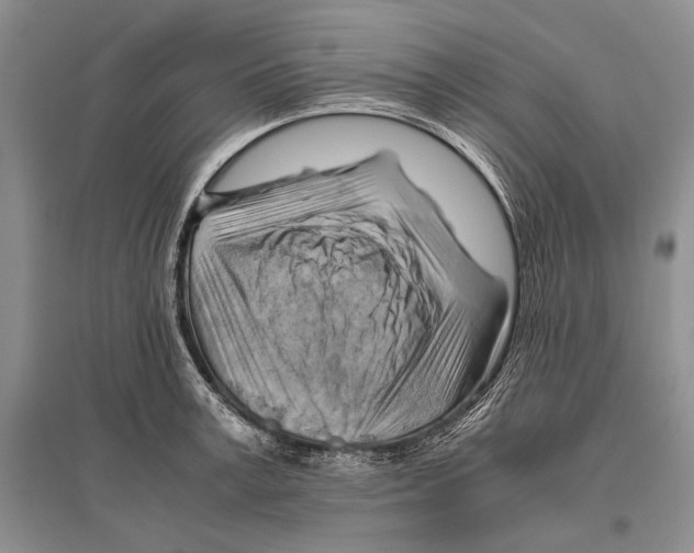 X0000096440995200802211206