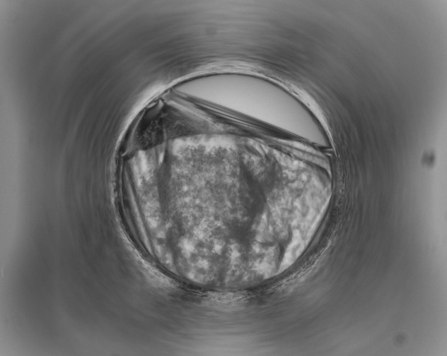 X0000096440997200802211206