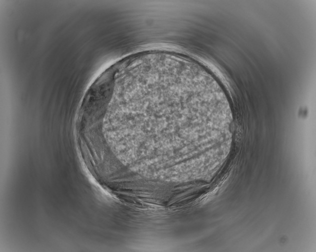 X0000096440999200802211206