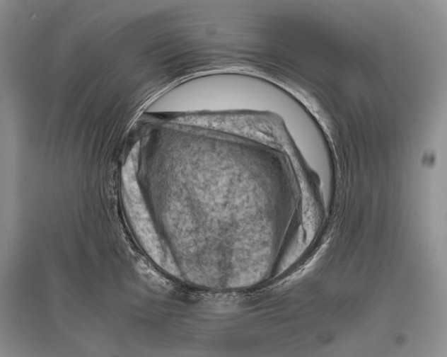 X0000096441001200802211206