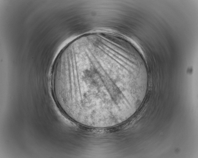 X0000096441003200802211206