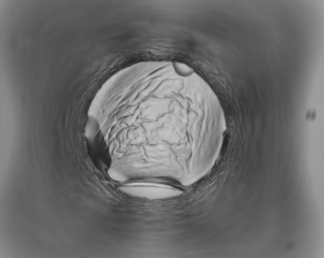 X0000096441009200802211205