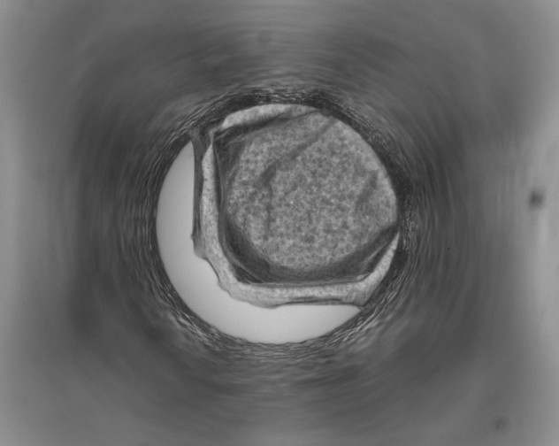 X0000096441010200802211205