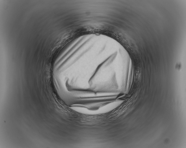 X0000096441012200802211205