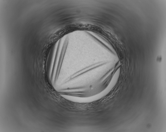 X0000096441013200802211205