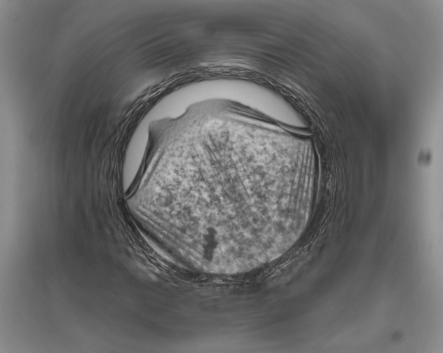 X0000096441014200802211205