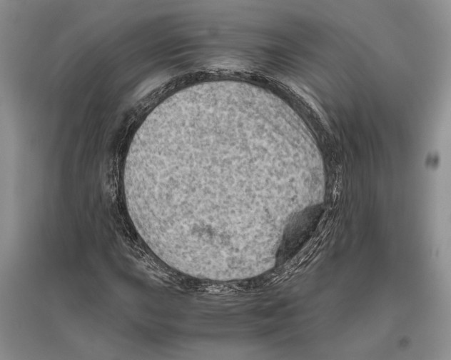 X0000096441015200802211205