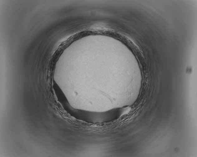 X0000096441016200802211205