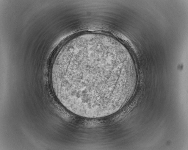 X0000096441019200802211205