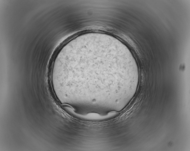 X0000096441020200802211205