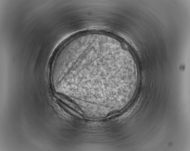 X0000096441021200802211205