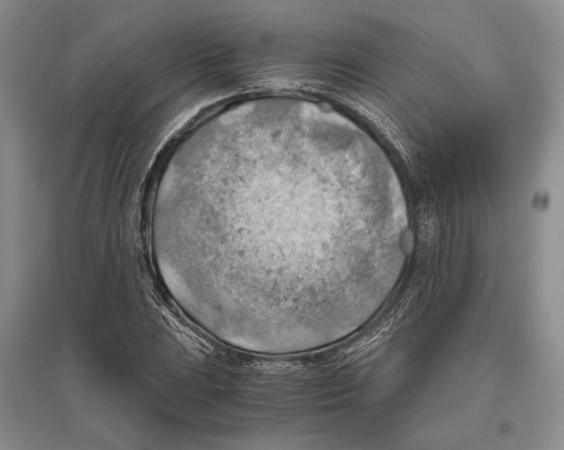 X0000096441023200802211205