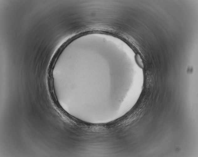 X0000096441024200802211205