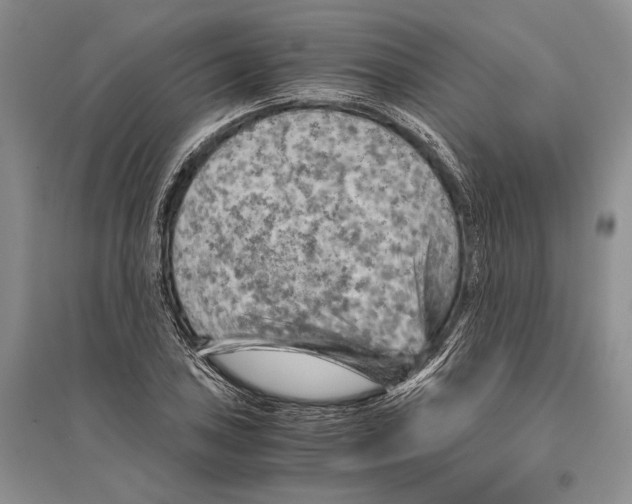 X0000096441027200802211205