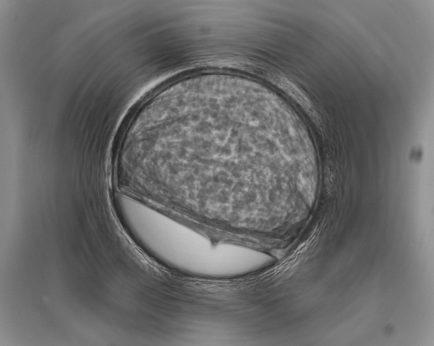 X0000096441028200802211205