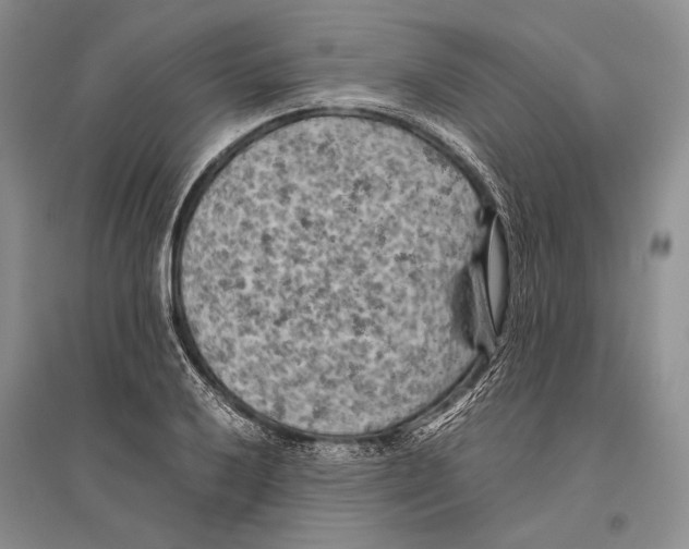 X0000096441032200802211205