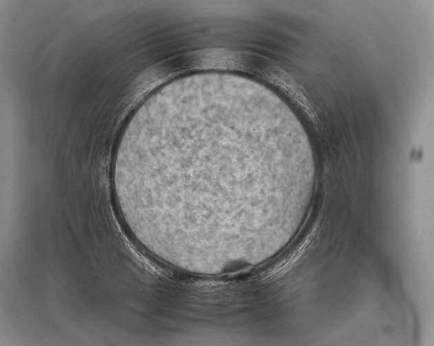 X0000096441033200802211205