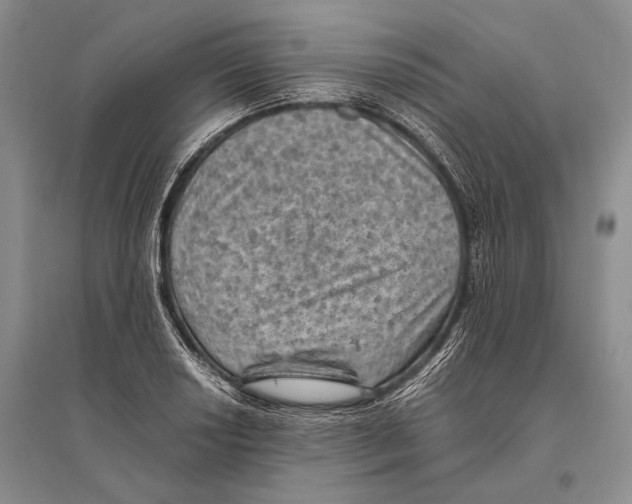 X0000096441034200802211205