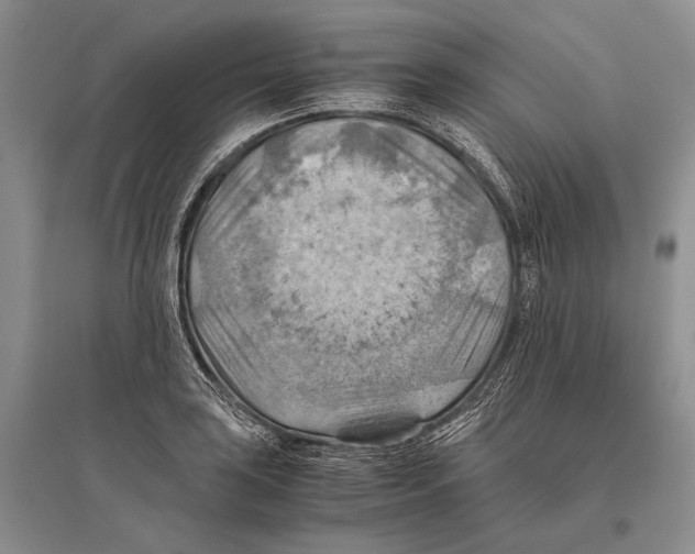 X0000096441035200802211205