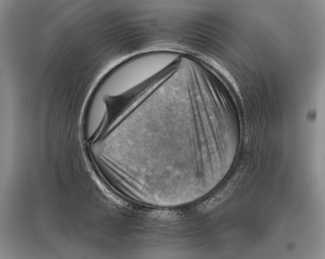 X0000096441037200802211205