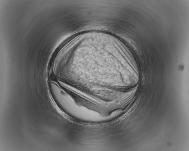 X0000096441038200802211205