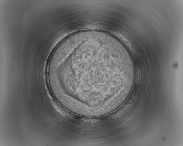 X0000096441039200802211205