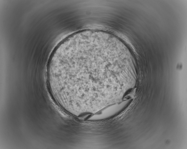 X0000096441040200802211205