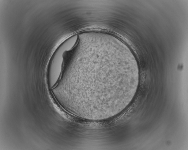 X0000096441042200802211205