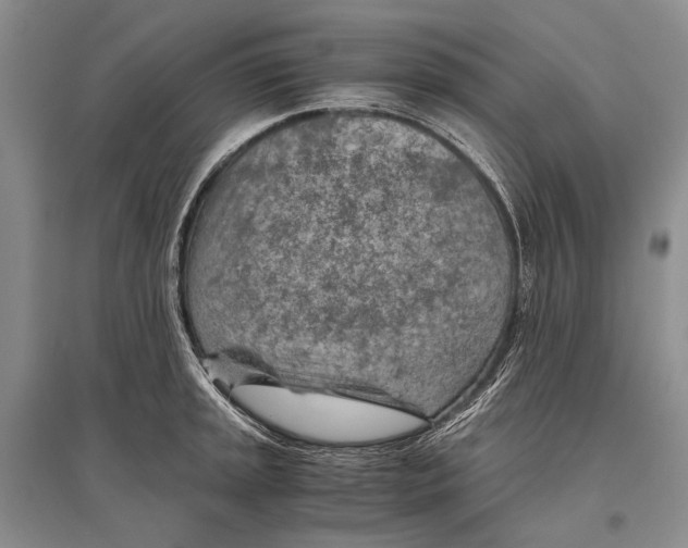 X0000096441045200802211205