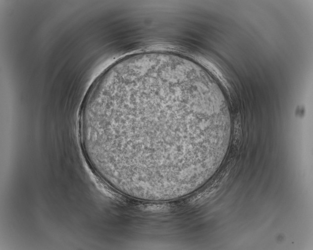 X0000096441047200802211205