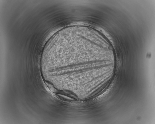 X0000096441049200802211205