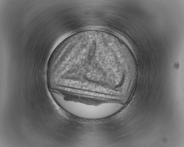 X0000096441050200802211206