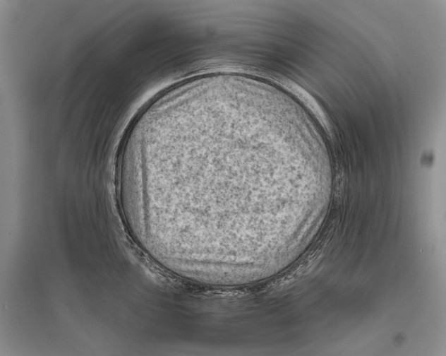 X0000096441051200802211206