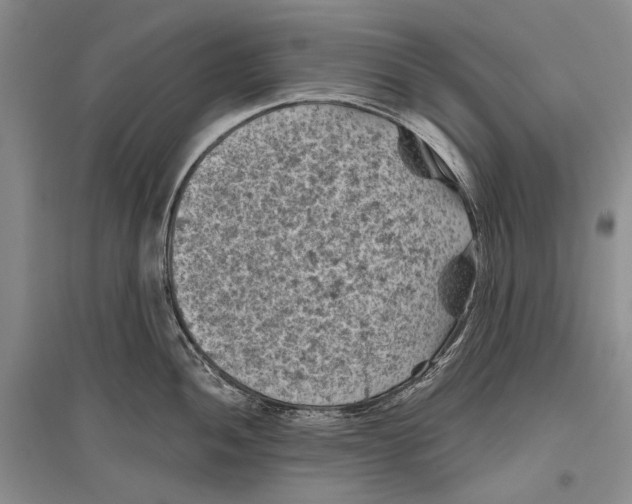 X0000096441052200802211206