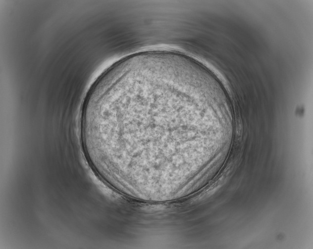 X0000096441054200802211206