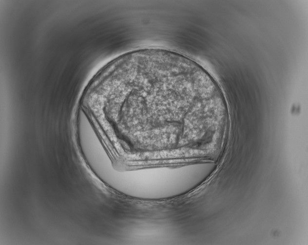 X0000096441056200802211206