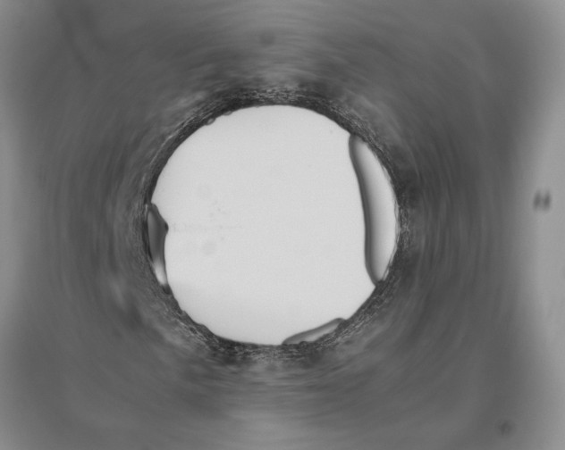 X0000096441057200802211205