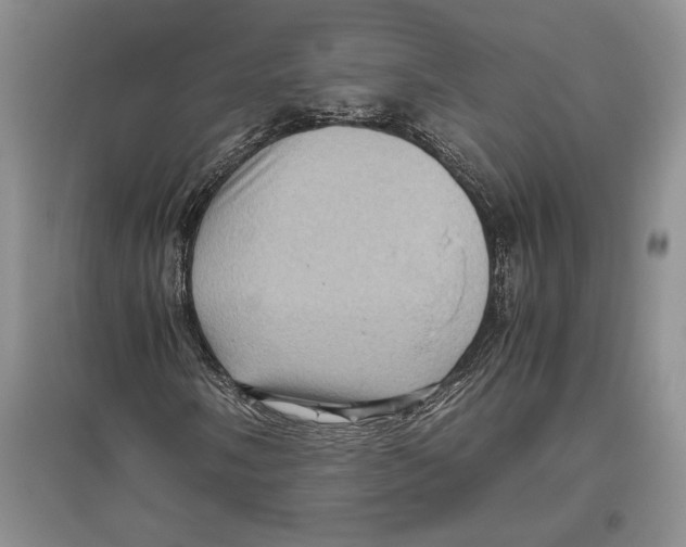 X0000096441058200802211205